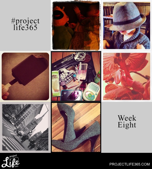 Project Life 365: Photo Project Week Eight