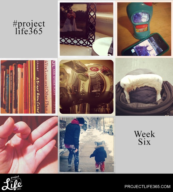 Project Life 365: Photo Project Week Six